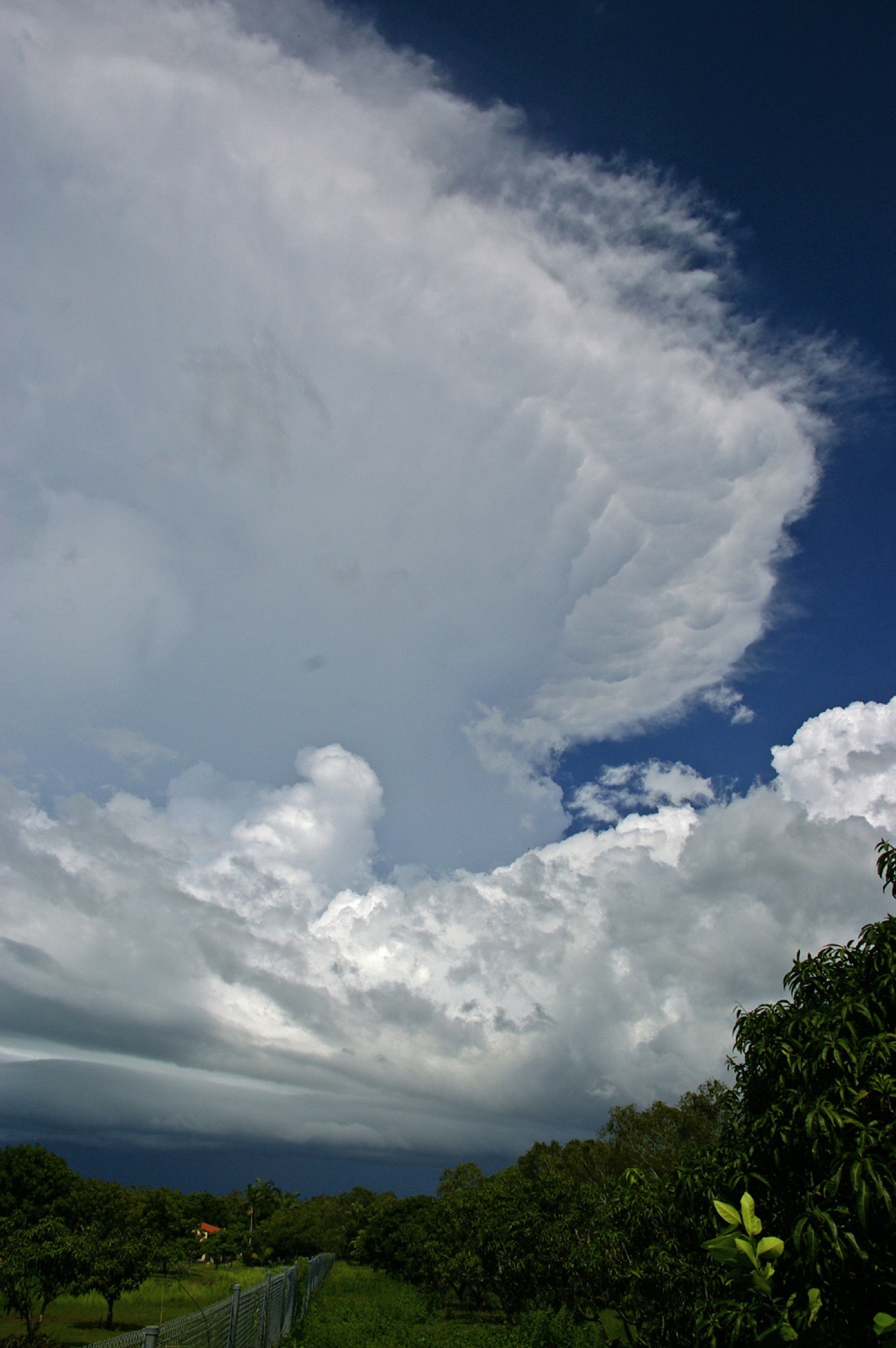 Cumulonimbus au stade mature avec enclume et nuage en étagère (shelf cloud) à sa base, signe du courant descendant et des rafales au sol