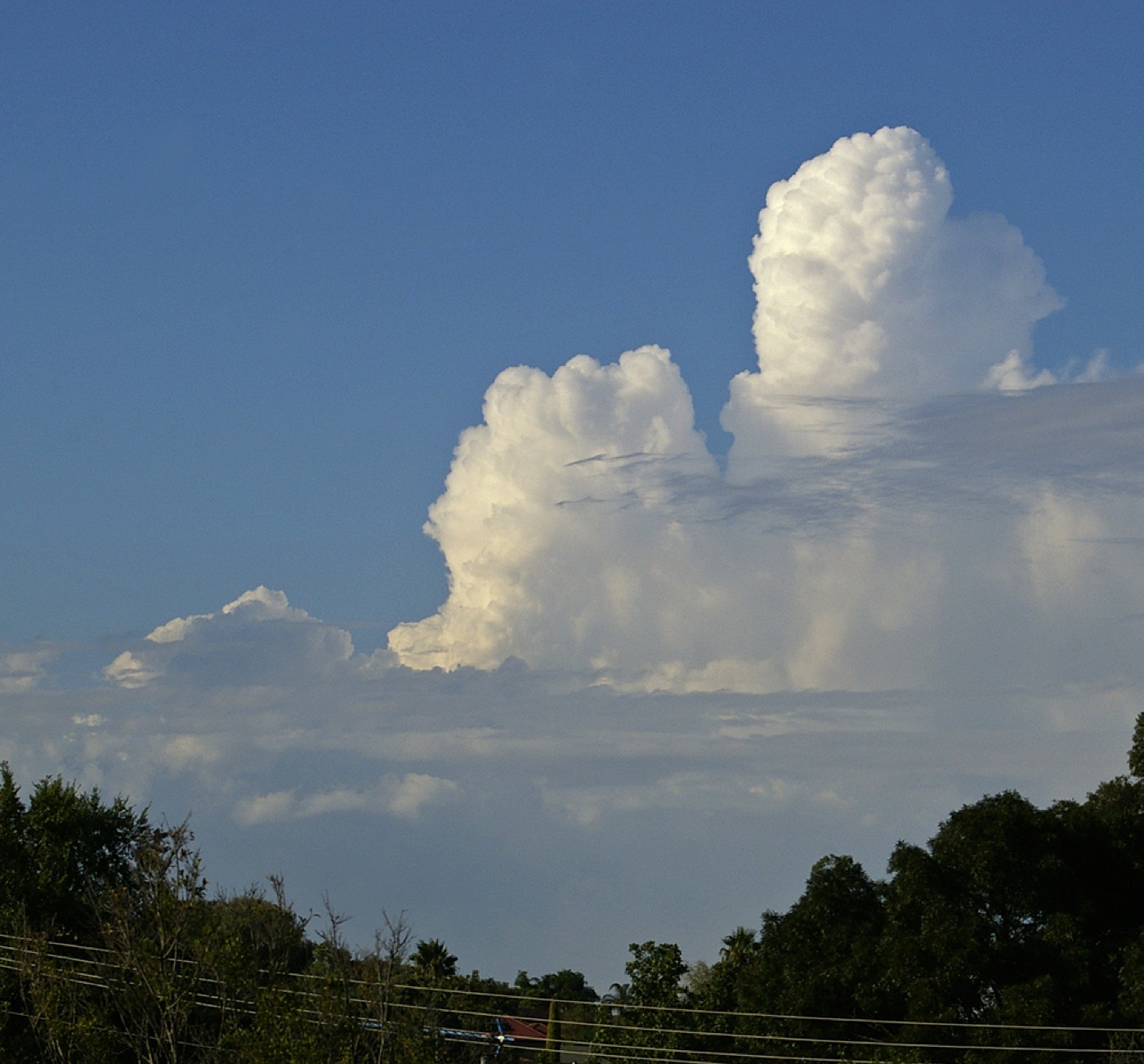 Cumulus congestus : nuage à base plate et développement vertical marqué, formé exactement au point où l'air montant atteint son point de rosée
