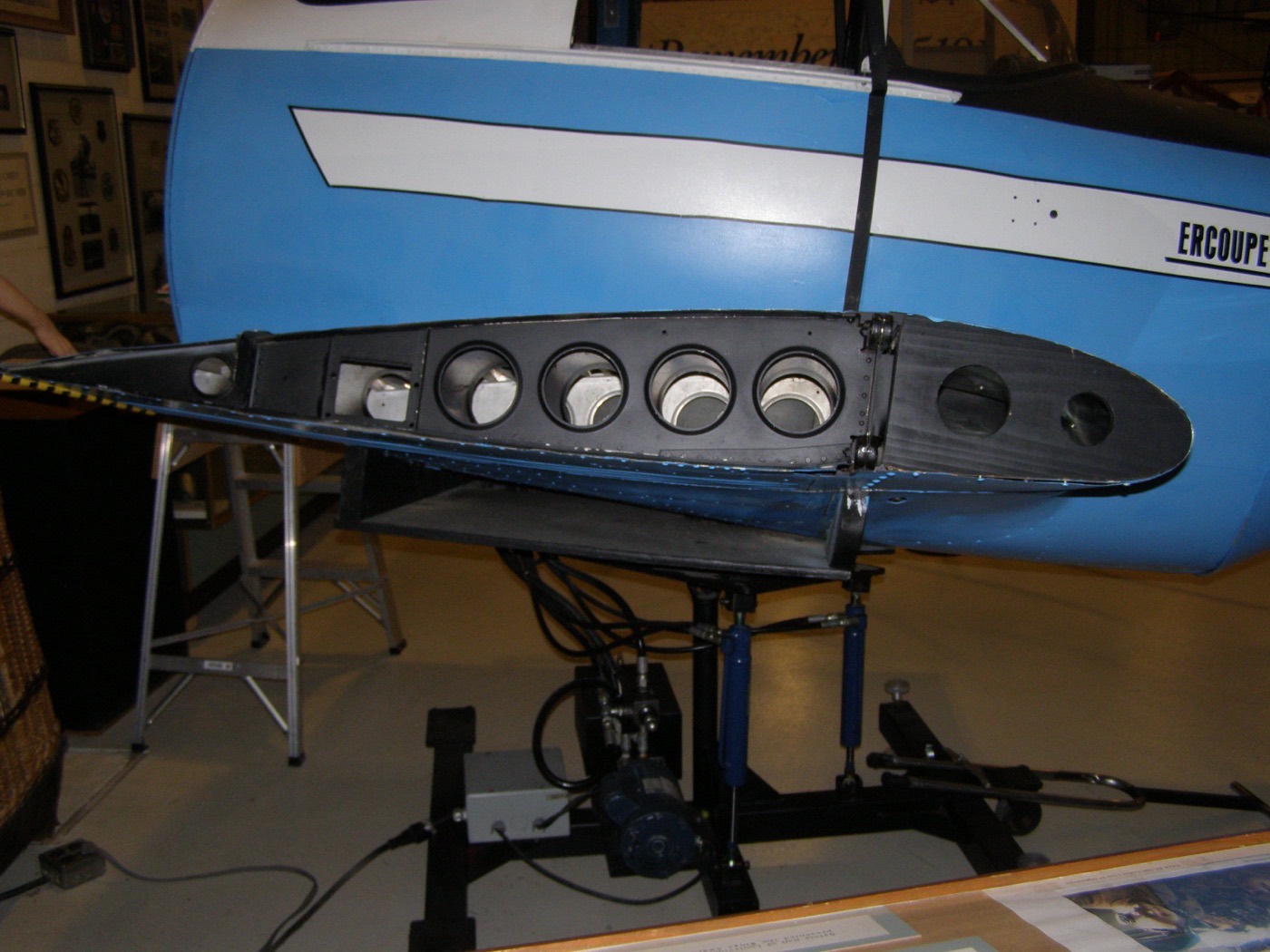 Coupe d'un profil d'aile exposée dans un musée aéronautique, montrant l'extrados bombé et l'intrados quasi plat